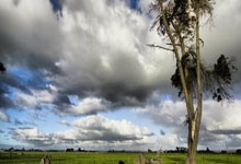 3377体育官网：成为国脚前的倒数24小时 西海岸中场徐彬数了两天.